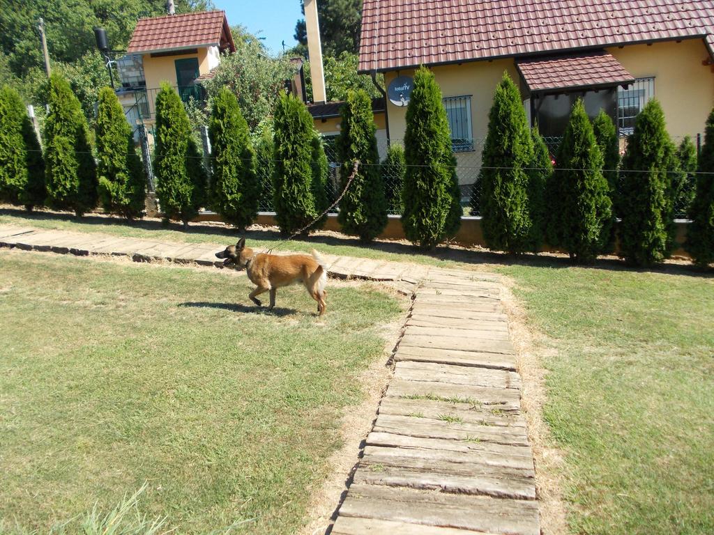 Bed and Breakfast Kuca Za Odmor "Karalic" à Ležimir Extérieur photo